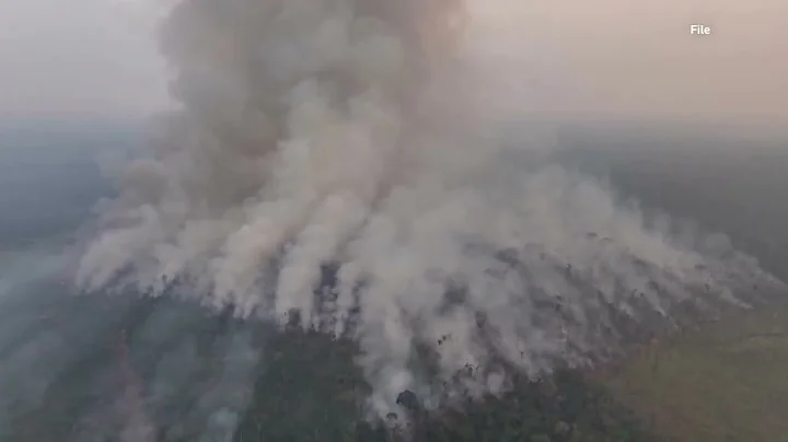 CO2 levels at record high, says World Meteorological Organization | REUTERS