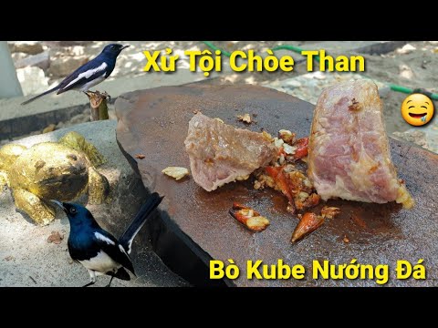 Video Thu Phục Chòe Than To Gan Và Làm Món Nướng Trên Đá... - youtube