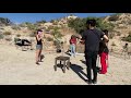 MOBILE SESSIONS - THE MAKING OF "LIVE FROM JOSHUA TREE WITH LAUREN SANDERSON"
