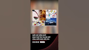 Quốc hội thống nhất đánh thuế tiêu thụ đặc biệt xăng, nước ngọt, điều hòa | Vietpress