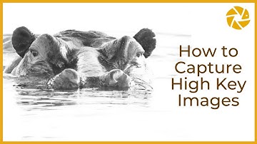 How To Shoot High Key Photography Outdoor | HIGH KEY HIPPO in the water.