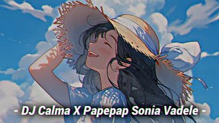DJ Calma X Papepap Sonia Vadele Viral Terbaru [ @djdanvata ]