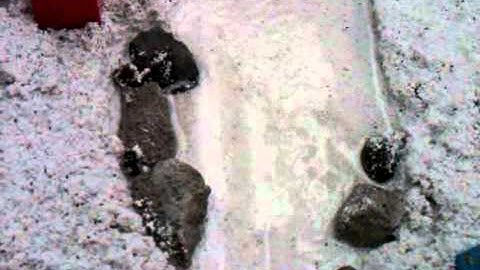 water flow after rip rap event