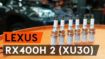 Hoe een bougies vervangen op een LEXUS RX400h 2 (XU30) [AUTODOC-TUTORIAL]