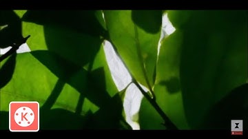 How To Edit Video Effect Screen Rotation 360° In Kinemaster || Kinemaster Tutorial