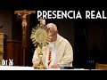Presencia Real - Hora Santa - padre Dario Betancourt