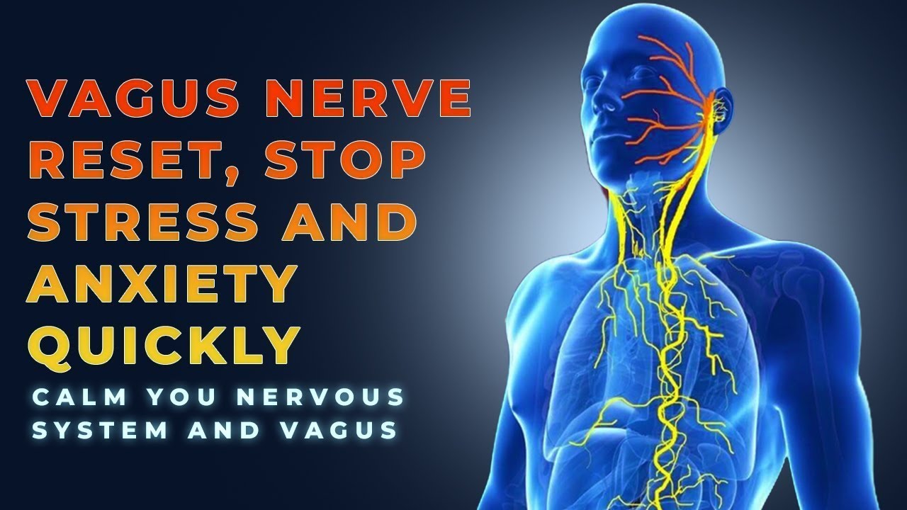 528Hz Binaural Beats Vagus Nerve Stimulation | Reset Vagus Nerve Calm Nervous System