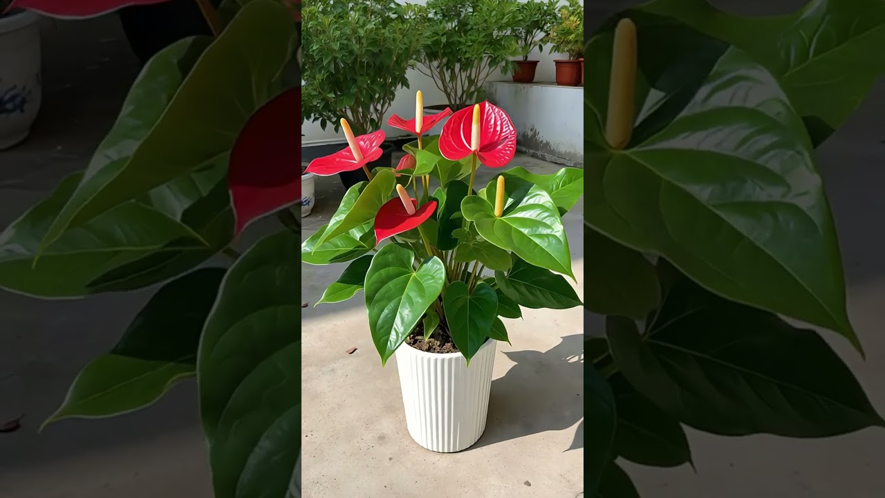 The Joy of Growing Flowers TheJoy of GrowingFlowers