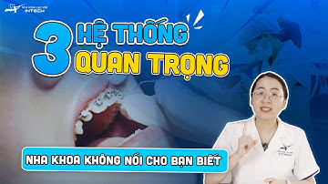 3 Hệ Thống Quan Trọng Quyết Định Hiệu Quả Chỉnh Nha Mà Nha Sĩ Không Nói Cho Bạn Biết