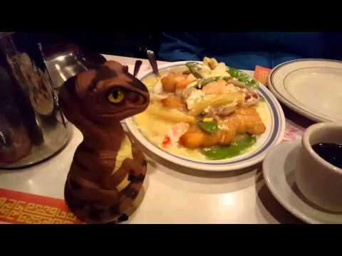 Bob the Raptor - Food Review - Chin's Pagoda and Lounge Chinese - Willowick Ohio