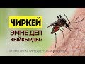 Окумуштуулар чиркейден сабак алды!