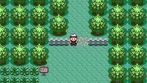 Pokemon Ruby Playthrough !! Part 8 ! Teh Boat Ride :D