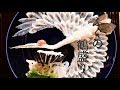ふぐの鶴盛り Japanese sashimi of Fugu