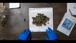 THCA SMALL BUDS ..Natalya Queen of DEC..Honest to review THCa #thcareview 