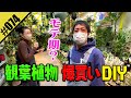 【観葉植物DIY】南青山のグリーンショップ「ソルソパーク」で爆買いDIY