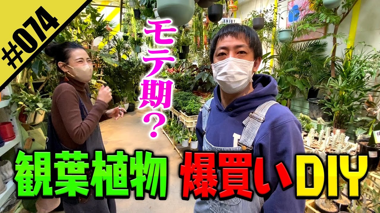 【観葉植物DIY】南青山のグリーンショップ「ソルソパーク」で爆買いDIY