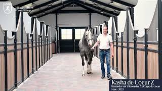 Kasha de Coeur Z