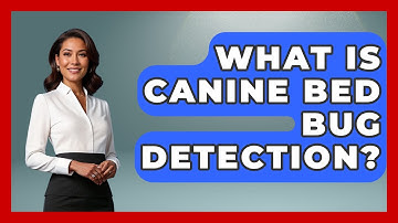 What Is Canine Bed Bug Detection? - Insects and Invaders