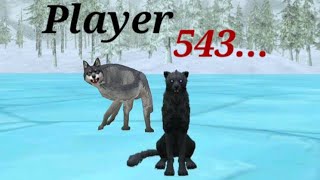 A Wildcraft Hacker: Finding Player543