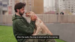 How Can You Monetize an On-Demand Dog Walking App? screenshot 4