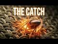 How a "Spiderweb" Stops a Bullet: Body Armor Physics