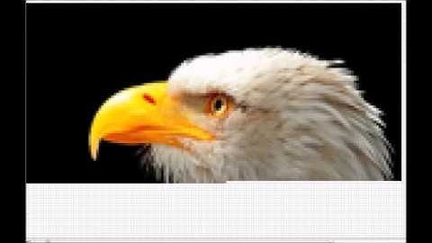 Excel Art - Pixel Eagle