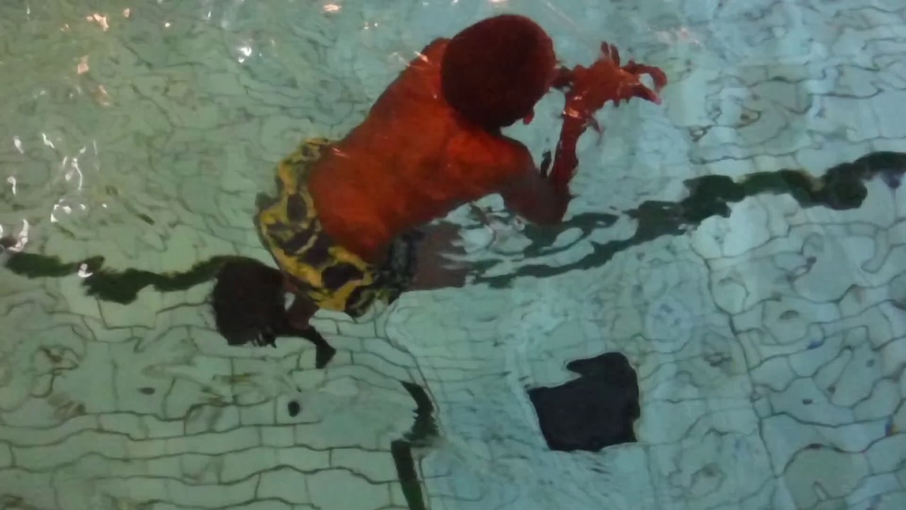 SDA17 Swim & Water Polo Tyrell treading YouTube