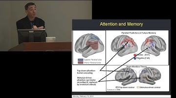 Anthony Wagner presents Intro to Science of Memory. Vanderbilt Judicial Colloquium, Feb. 2014