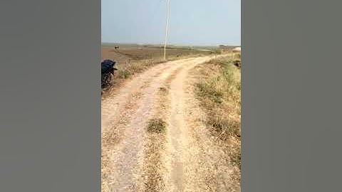 sampat chowk ke pass, bariya  bazar,busstand,usha martin school plot hai,-9570617599