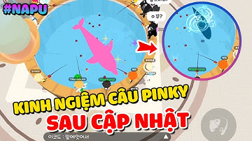 PLAY TOGETHER | Hướng Dẫn Cách Câu Cá Heo Hồng Thành Công Trong Play Together | Phiên Bản Mới | NAPU