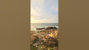 Thumbnail of Out at 17 mile drive  #California #sunset #spring #music #song #rock
