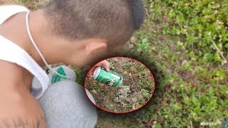 I poured beer in a hole near a rice field and an unidentified creature came out