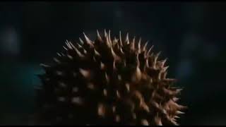 Aardvark Hears A Who 20Th Century Fox Style Teaser Trailer