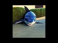 Great White Sharks roaming the streets