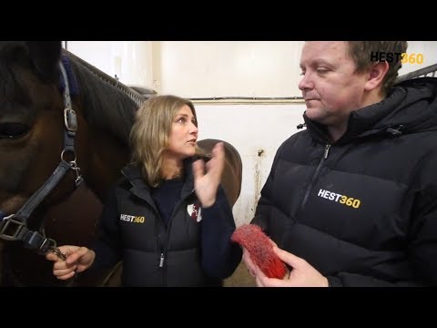 Video: Hvordan Heve En Hest