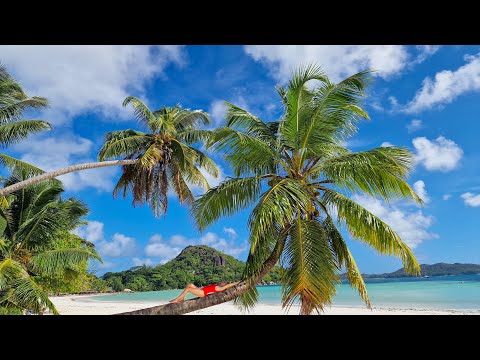 Seychelles - Mahe & Praslin islands 2023 🌴☀️🐠⛱🏖🐢