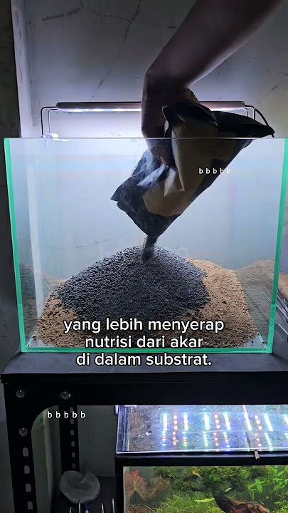 Jadi gini cara susun substrat aquascape. Kalo kalian biasanya pake substrat apa? #Aquascape