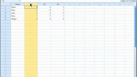 SPSS 19 Training : Working with Cases, Variables, Cells, and Values