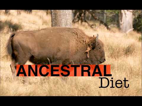 What Our Ancestors Ate — And Why It Matters Now