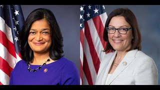 April 1, 2021, Civic Cocktail: The State of Our Democracy – Next Steps for the Democratic Party