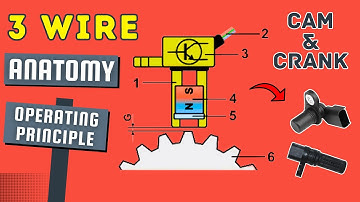 Anatomy & Operating Principle of 3 wire Cam & Crank Sensor | Hall Effect Sensors | (Urdu/Hindi)