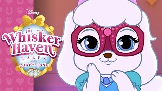 Whisker Haven Masquerade | Whisker Haven Tales with the Palace Pets | Disney Junior