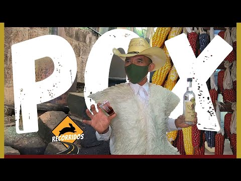 El Pox La Bebida De Chiapas | Como Se Hace El Pox | Yut Osil Ll, San Juan Chamula, Chiapas |