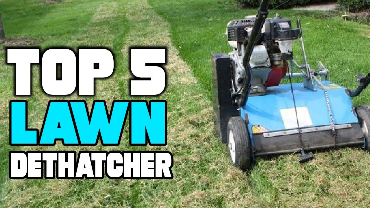 Best Lawn Dethatcher Reviews 2024 Best Budget Lawn Dethatchers