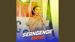 Download Lagu Serngenge (feat. Julia Indri)