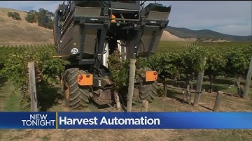 Napa Valley Vineyard Automation Helping Growers Meet Consumer Demand In Face Of Shrinking Workforce