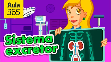 ¿Cuál es la medida del ureter?