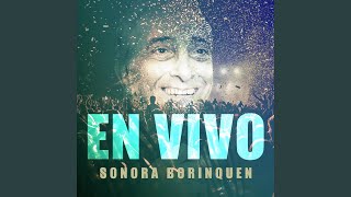 No Supe Decir Que No