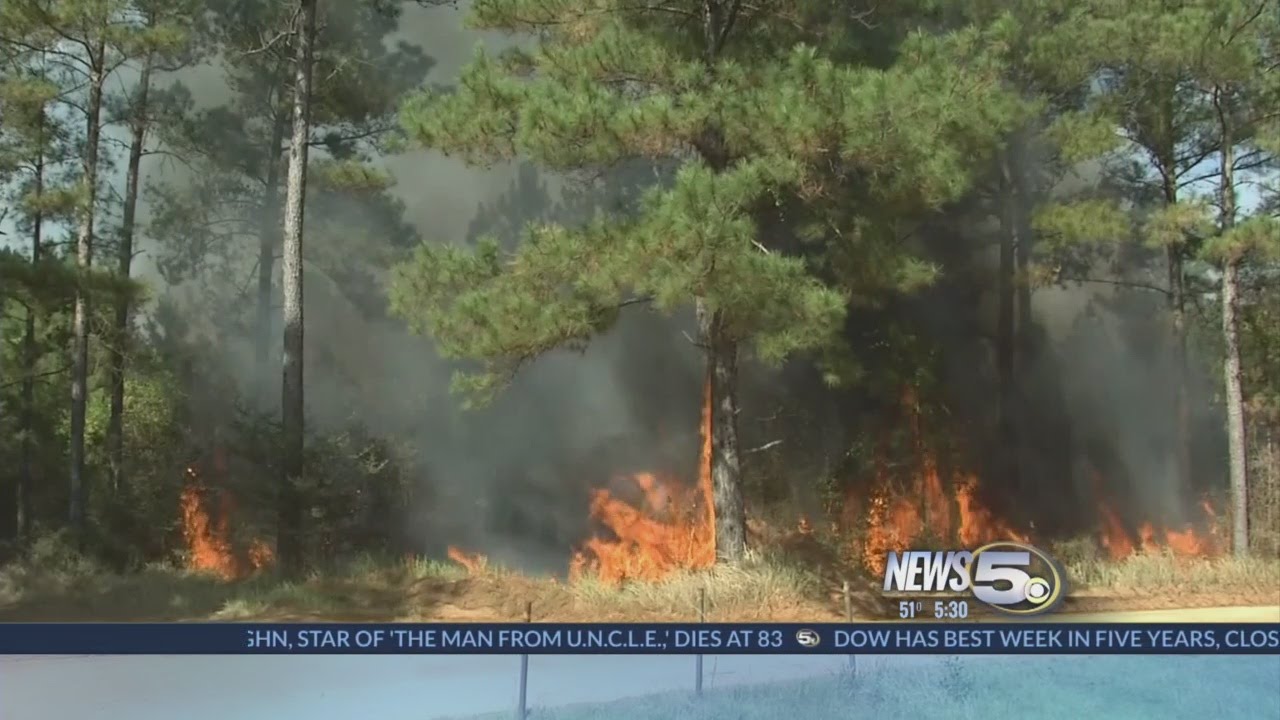 Burn Ban In Alabama YouTube