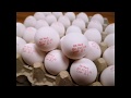 Printing and marking codes on eggs with rn mark industrial inkjet printers